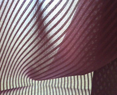 090410_5.JPG