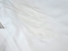 090527_3.jpg