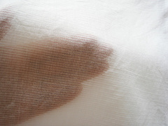 090819_3.jpg