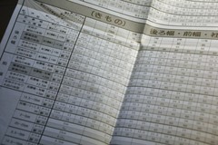 100203_4.jpg