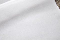 100310_6.jpg