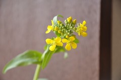 100310_7.jpg