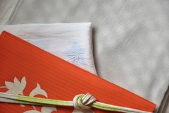 100629_1.jpg